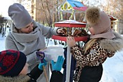 Акция "Покормите птиц зимой"